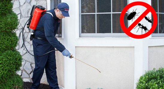 Sivas Kene İlaçlama böcek ilaçlama ve haşere kontrolü — ilaclama-tr.com